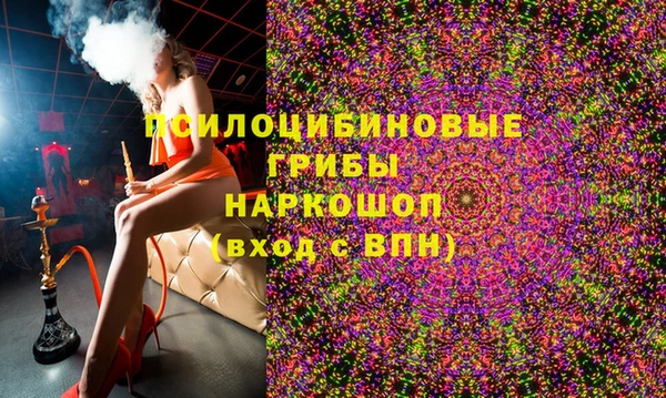 соль ск Елабуга