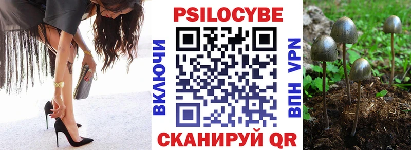 Галлюциногенные грибы GOLDEN TEACHER Купить закладки Кинешма